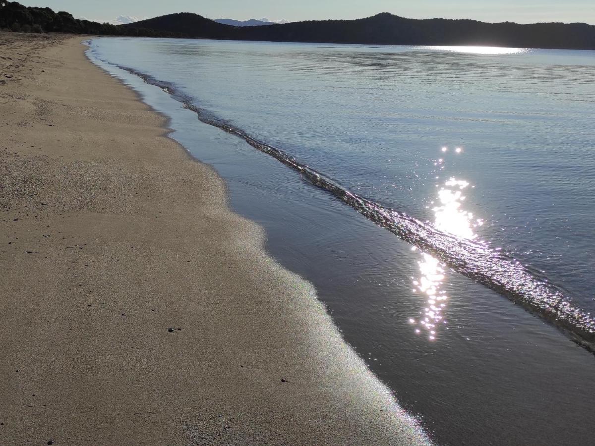 Seaside Glow * Σχοινιάς